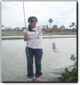 eat fish